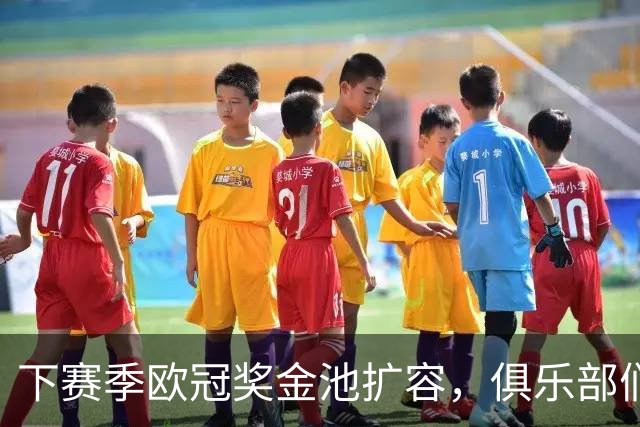 下赛季欧冠奖金池扩容，俱乐部们开开心心数钞票！