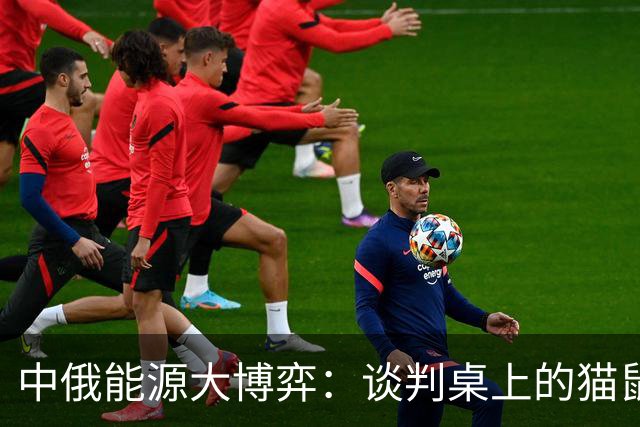 中俄能源大博弈：谈判桌上的猫鼠游戏